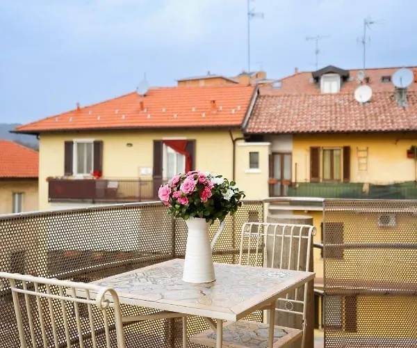 Azalea - Radice Comfort - Leonardo, Mxp & Laghi Sesto Calende