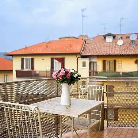 Azalea - Radice Comfort - Leonardo, Mxp & Laghi Sesto Calende