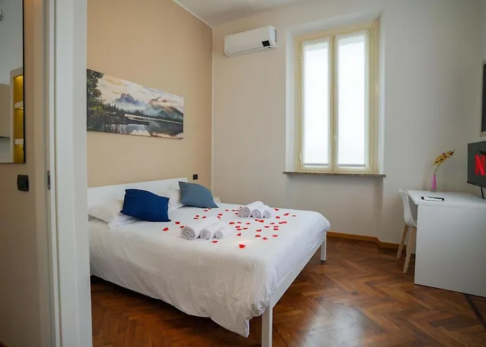 Azalea - Radice Comfort - Leonardo, Mxp&laghi