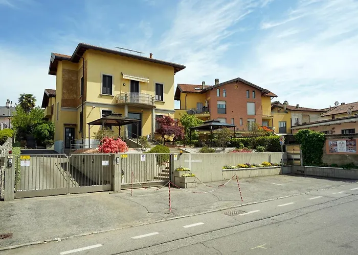 Azalea - Radice Comfort - Leonardo, Mxp&laghi *